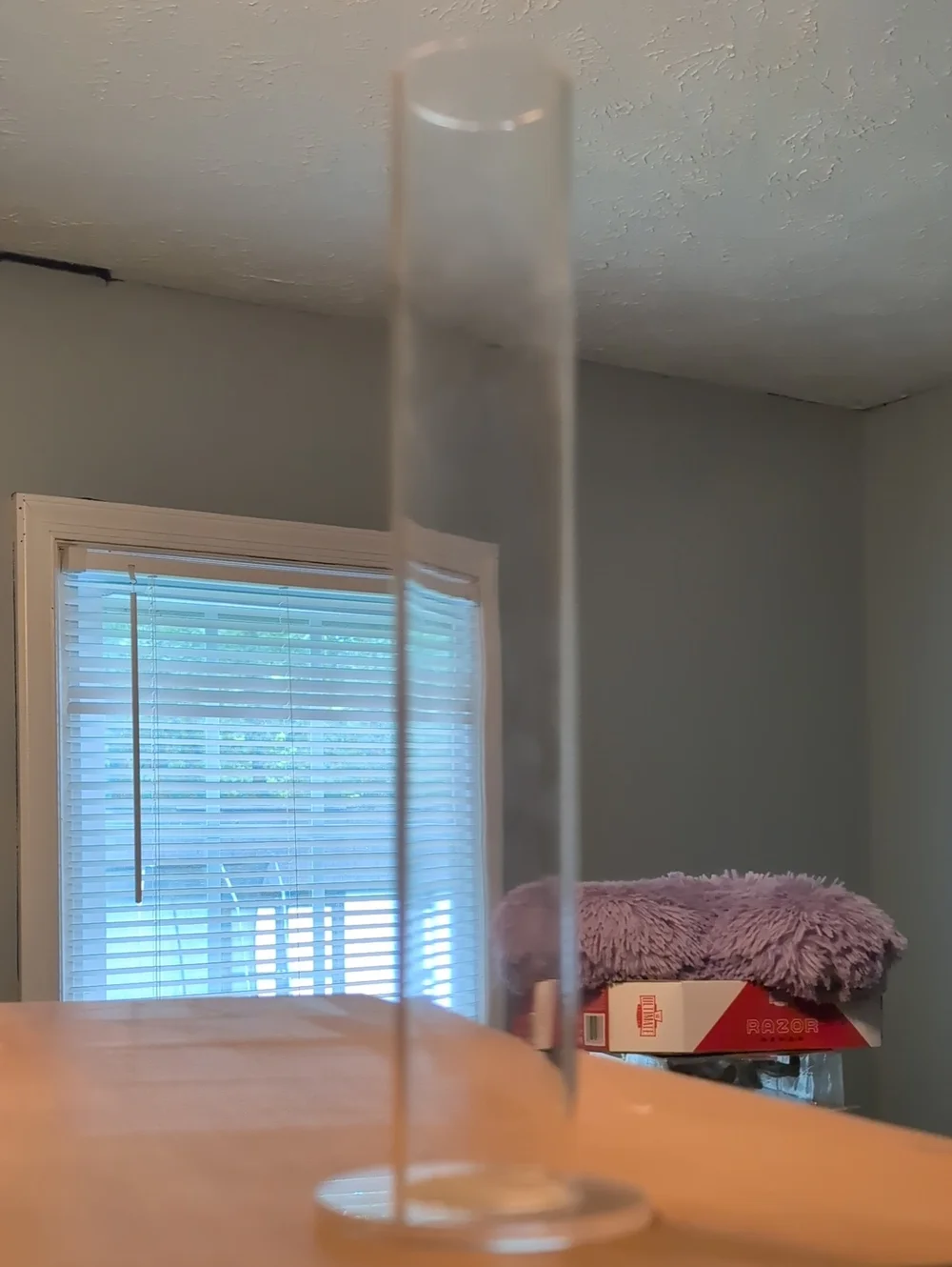 Ponytail Holder